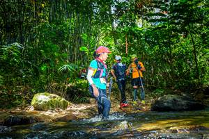 BIB: 
                            <button type="button" onclick="openModal(21770996)" class="btn btn-primary btn-sm float-right btn-popup" data-toggle="modal" data-target=".modal-high-quality">
                        <i class="fas fa-shopping-cart"></i> Add to Cart
                    </button>
                                            <button type="button" onclick="isThisMe(21770996, true)" class="btn btn-success btn-sm float-right btn-popup btn-isme hidden" data-toggle="tooltip" data-placement="bottom" title="นี่คือรูปของคุณใช่ไหม คลิกที่นี่เพื่อเอาเข้าอัลบั้ม">
                        <i class="fas fa-plus"></i> Add to album
                    </button>
                    <button type="button" onclick="isThisMe(21770996, false)" class="btn btn-warning btn-sm float-right btn-popup btn-isnotme hidden">
                        <i class="fas fa-ban"></i> Remove from album
                    </button>